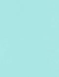 LUXPaper 8.5" x 11" Paper | Letter Size | Seafoam Blue | 80lb. Text | 50 Qty