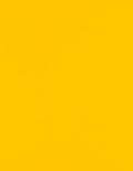 LUXPaper 8.5" x 11" Cardstock | Letter Size | Sunflower Yellow | 100lb. Cover (183lb. Text) | 50 Qty