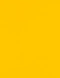LUXPaper 8.5" x 11" Paper | Letter Size | Sunflower Yellow | 80lb. Text | 250 Qty