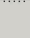 Limited Papers(TM) Writing and Copy Paper, Variation of Colors 8.5" x 11", 5 Hole Top-Punched, 20 Pound Text, 500 Sheets Per Ream. (2500, Grey)