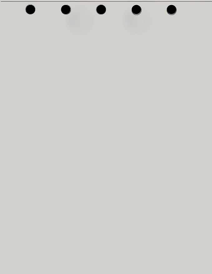 Limited Papers(TM) Writing and Copy Paper, Variation of Colors 8.5" x 11", 5 Hole Top-Punched, 20 Pound Text, 500 Sheets Per Ream. (5000, Grey)