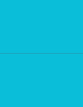 NextDayLabels - 8-1/2 x 11 Neon Color High Light Fluorescent Labels for Laser & Inkjet Printer (Blue Fluorescent, 8-1/2" x 5-1/2" - 2 Per Page | 200 Labels)
