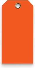 Tags 4 Less 15 Mil Waterproof Plastic Tags, Pack of 100 – 3” x 6” Heavy Duty Plastic Tags for Labeling, Outdoor Tagging, Equipment Labeling, Luggage, Valves & More (Orange)