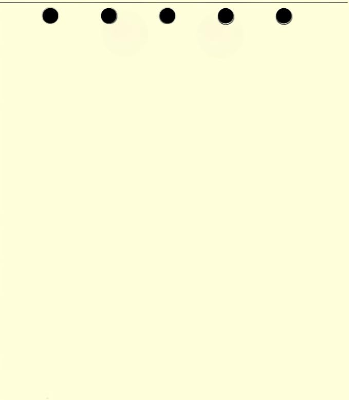 Limited Papers(TM) Writing and Copy Paper, Variation of Colors 8.5" x 11", 5 Hole Top-Punched, 20 Pound Text, 500 Sheets Per Ream. (5000, Ivory)