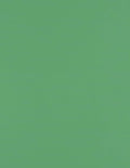 LUXPaper 8.5" x 11" Paper | Letter Size | Holiday Green | 80lb. Text | 50 Qty
