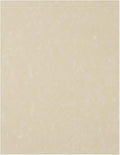 LUXPaper 8.5" x 11" Paper | Letter Size | Cream Parchment | 60lb. Text | 500 Qty