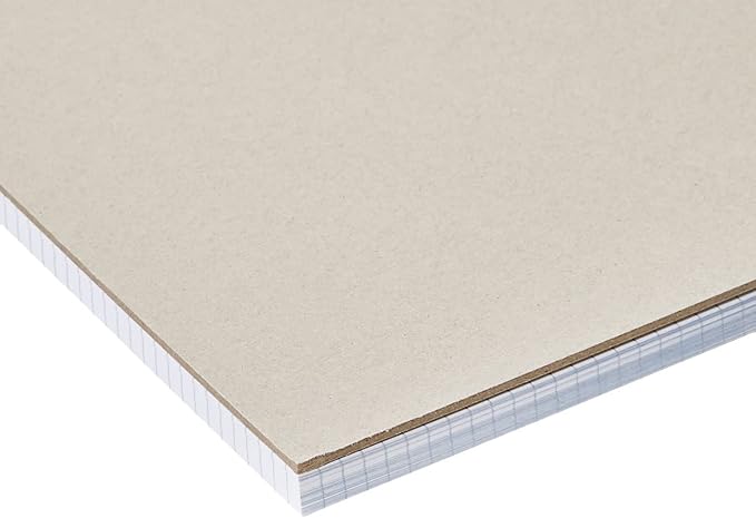 Amazon Basics Quad-Ruled Graph Paper Pad, Pack of 2, 8.5 Inch x 11.75 Inch, 100 Sheets/Pad, White