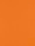 LUXPaper 8.5" x 11" Paper | Letter Size | Mandarin Orange | 80lb. Text | 1,000 Qty