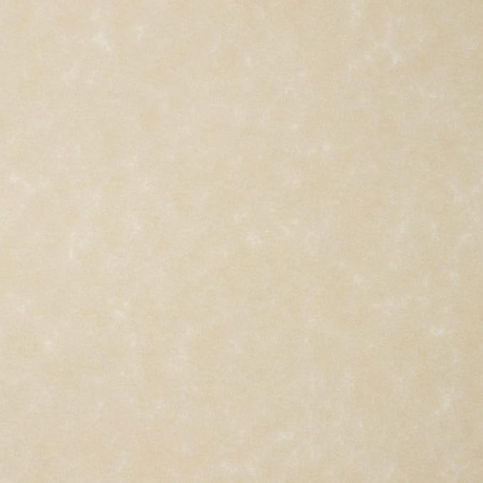 LUXPaper 8.5" x 11" Paper | Letter Size | Cream Parchment | 60lb. Text | 1,000 Qty