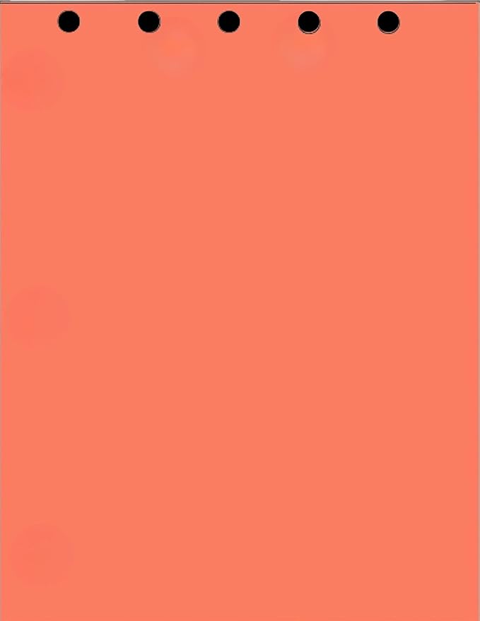 Limited Papers(TM) Writing and Copy Paper, Variation of Colors 8.5" x 11", 5 Hole Top-Punched, 20 Pound Text, 500 Sheets Per Ream. (5000, Salmon)