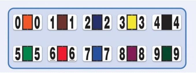 File Right Number Labels Roll – Color-Coded Numeric Filing Labels, 1-5/8" × 7/8" Laminated Self-Adhesive File Folder Numbers for, Office Filing Systems, Automotive Records – Roll #2, 2 Roll
