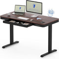FLEXISPOT Comhar 48" Electric Standing Desk with Drawers, Quick Assembly Home Office Sit Stand Desk with Storage & USB Charging, Computer Workstation for Home Office (48" Wood, Dark Walnut/Black)