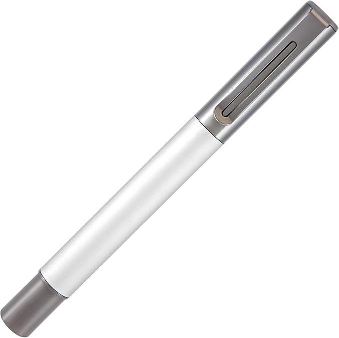 Monteverde USA Ritma Fountain Pen in Silver – Fine Nib, Smooth JoWo Stainless Steel, Refillable Ink Cartridge/Converter – Ideal for Everyday Writing & Journaling