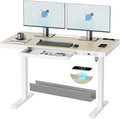 ERGO COLLECT Electric Standing Desk 48 Inch - One-Piece Desktop with Drawer, Cable Management, Wireless Charging & USB Port, Quiet Motor - for Home Office, Light Wood