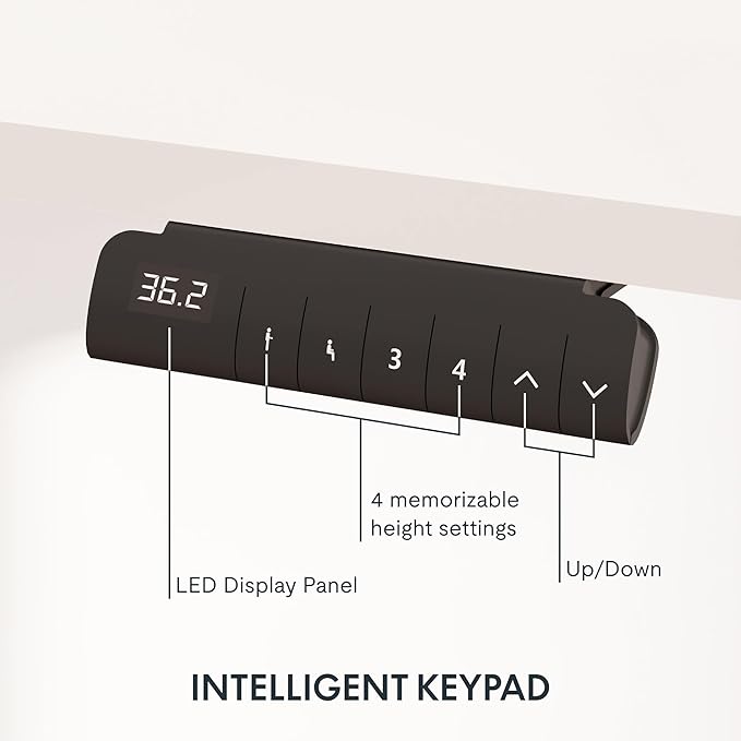 FLEXISPOT E6 3-Stage Dual Motor Electric Standing Desk 48 x 30 Sit Stand Up Desk, Holds 220 lbs, Adjustable Height w/Memory Presets, One-Piece White Desktop & Black Frame, Ships in 2 Boxes