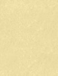 LUXPaper 8.5" x 11" Paper | Letter Size | Gold Parchment | 60lb. Text | 50 Qty