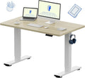 FLEXISPOT EN1 One-Piece Standing Desk with 1-Inch Thick Seamless Desktop, 48"x30" Electric Height Adjustable Desk for Home Office, Multi-Monitor Setups & Easy Assembly, White Wood Grain