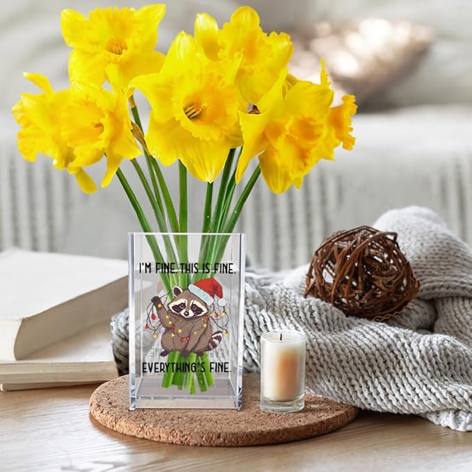 Vgrti I'm Fine This Is Fine Acrylic Cosmetic Pencil Pen Holder Cup, Funny Raccoon Christmas Pen Holder Cup, Raccoon Lover Gifts for Women Men, Office Sarcastic Gifts for Women Men Colleague Boss