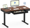 FLEXISPOT Q5 Standing Desk with Drawer, 48 x 24 Inch Electric Adjustable Height Stand Up Desk with Storage Organizer, Whole Piece Wooden Desktop for Home, Office, Computer Workstation, Dark Walnut