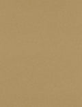 LUXPaper 8.5" x 11" Paper | Letter Size | Grocery Bag Brown | 70lb. Text | 50 Qty