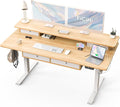 FiCiHi Adjustable Height Standing Desk with 4 Drawers,63 x 30 inches Electric Sit Stand Home Office Desk with Two Tiers, 3 Memory Presets, Monitor Stand Riser, USB A/C Charging Port