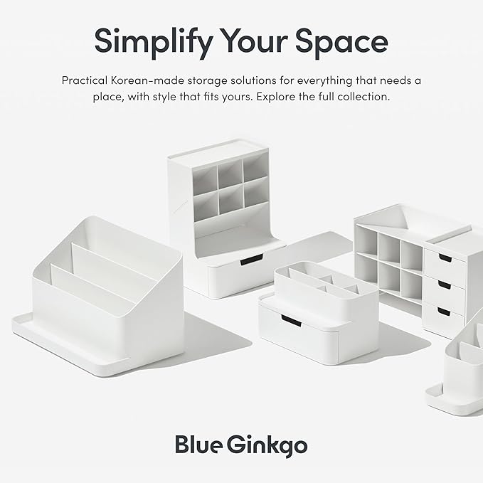 BLUE GINKGO Desk Tray – Korean-Made Organizer for Notes, Pens, Pencils, and Accessories (Double-sided, Beige)