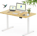 FLEXISPOT Bamboo Electric Standing Desk with Elegant Oval Legs, 48"x24" Height Adjustable Desk for Home Office & Living Spaces, White Frame