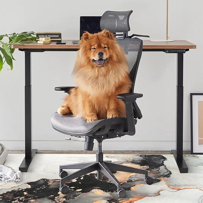 Anidaroel Office Chair Mat for Hardwood/Tile Floor, 48"x60" Desk Chair Mat for Office Gaming, Under Desk Rug for Rolling Chair, Anti-Slip Computer Chair Mats, Low-Pile Carpet Protector Rug