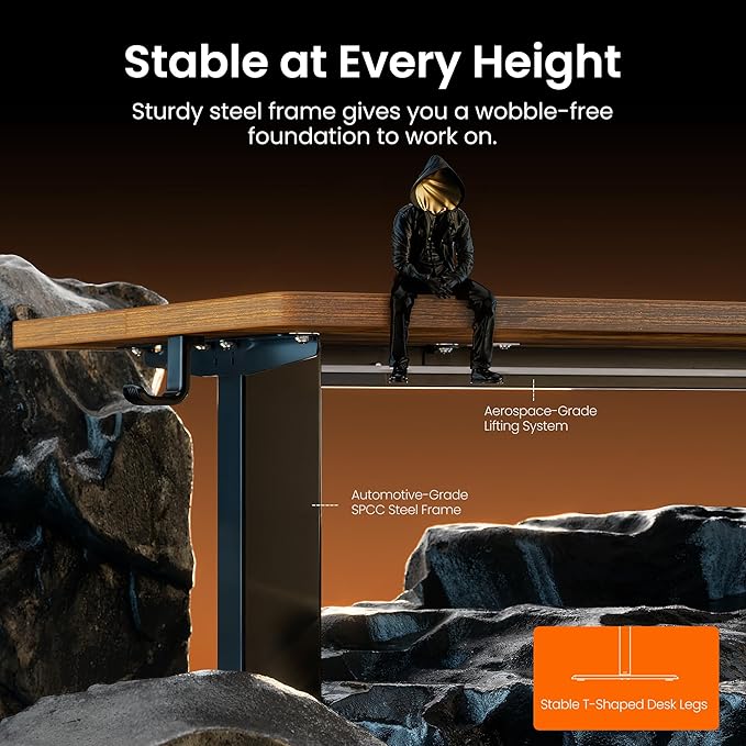 ErGear Height Adjustable Electric Standing Desk, 48 x 24 Inches Sit Stand up Desk, Memory Computer Home Office Desk with Two-Piece Desktop (Vintage Brown)