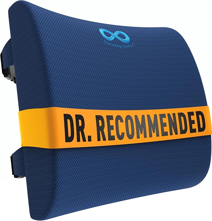 Everlasting Comfort Lumbar Support Pillow for Office Chair - Memory Foam Back Cushion for Car Seat - Promotes Better Posture, Back Pain Relief - Ideal Gaming and Desk Chairs Work and Home Essentials
