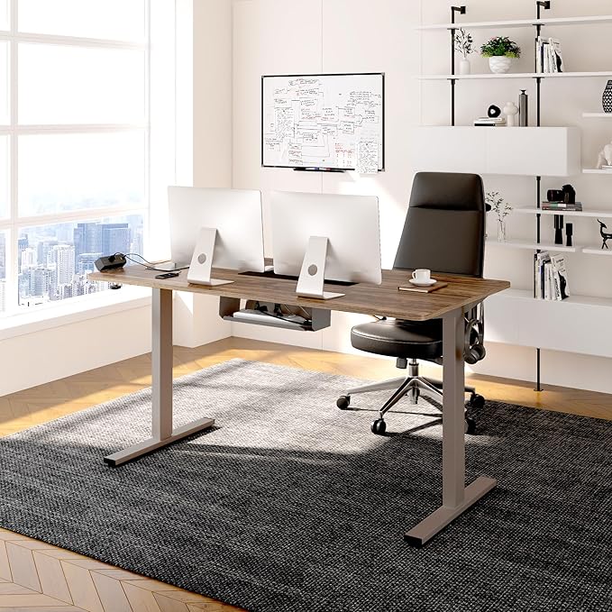 FLEXISPOT EN2 Whole-Piece Standing Desk with Clamp Power Strip, 48 x 24 Electric Stand Up Height Adjustable Desk with Cable Management (Gray Frame + 48" Black Walnut Desktop, 2 Packages)