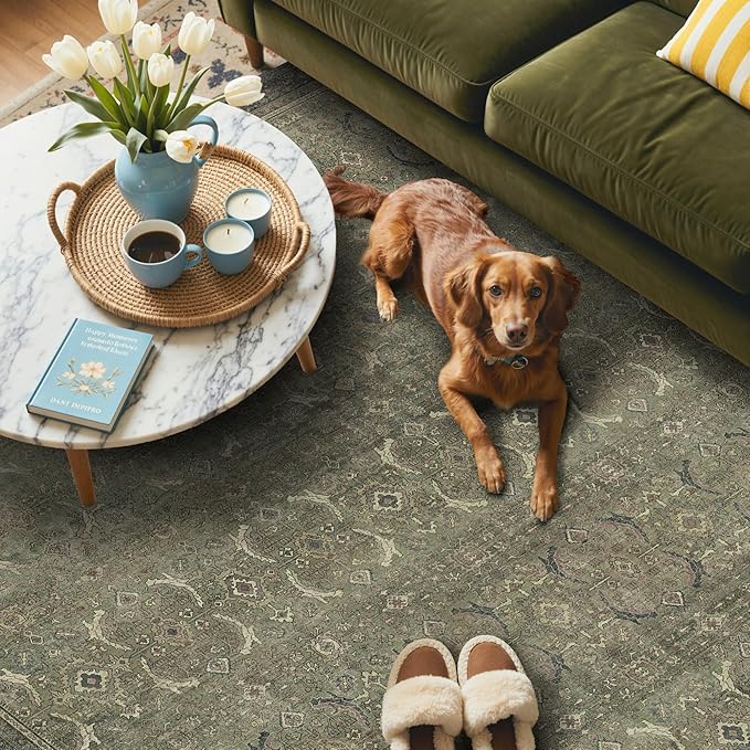 GENIMO 2x3 Area Rugs for Living Room, Machine Washable Non Slip Vintage Rugs, Low Pile Lightweight Chenille Print Rug for Bedroom, Dining Room, Home Office, Muted Green